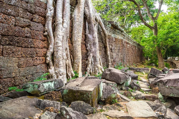 Templo Preah Khan Complejo Angkor Wat Siem Reap Camboya Día — Foto de Stock