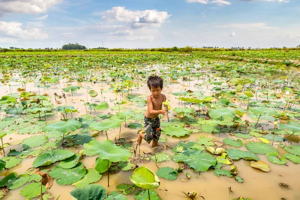 Siem Reap, Kamboçya - 11 Haziran 2018: Lotus Lotus çiftliğinin yakınlarında Siem Reap, Kamboçya'da bir yaz günü sahasının çocuk