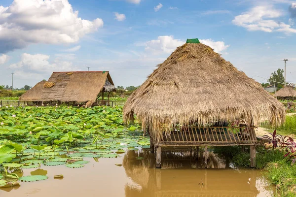 Siem Reap, Kamboçya - 11 Haziran 2018: Lotus çiftliğinin yakınlarında Siem Reap, Kamboçya'da bir yaz günü