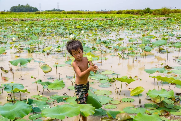 Siem Reap Kambodža Června 2018 Boy Pole Aplikace Lotus Lotus — Stock fotografie