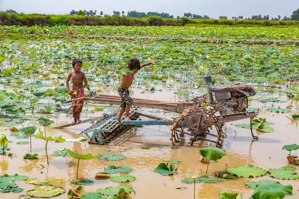 Siem Reap, Kamboçya - 11 Haziran 2018: Lotus Lotus çiftlik sahasının iki erkek Siem Reap, Kamboçya'da bir yaz günü yakın: