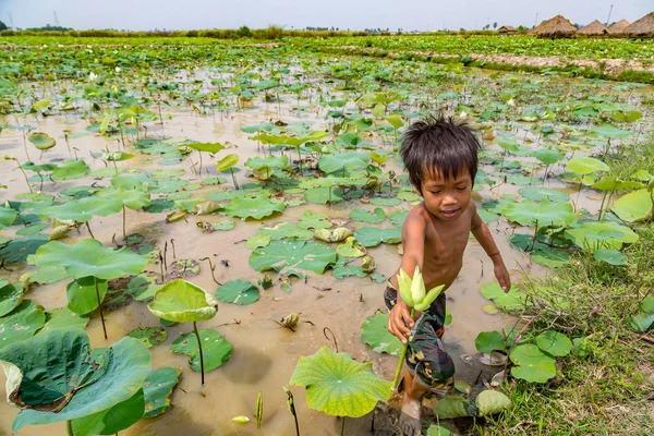 Siem Reap, Kamboçya - 11 Haziran 2018: Lotus Lotus çiftliğinin yakınlarında Siem Reap, Kamboçya'da bir yaz günü sahasının çocuk