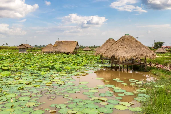 Siem Reap, Kamboçya - 11 Haziran 2018: Lotus çiftliğinin yakınlarında Siem Reap, Kamboçya'da bir yaz günü