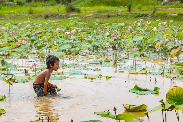 Siem Reap, Kamboçya - 11 Haziran 2018: Lotus Lotus çiftliğinin yakınlarında Siem Reap, Kamboçya'da bir yaz günü sahasının çocuk