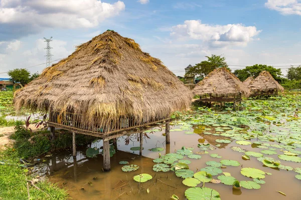 Siem Reap, Kamboçya - 11 Haziran 2018: Lotus çiftliğinin yakınlarında Siem Reap, Kamboçya'da bir yaz günü