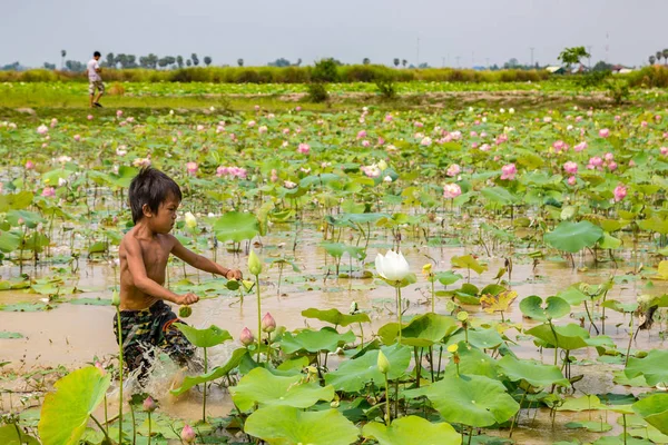 Siem Reap, Kamboçya - 11 Haziran 2018: Lotus Lotus çiftliğinin yakınlarında Siem Reap, Kamboçya'da bir yaz günü sahasının çocuk
