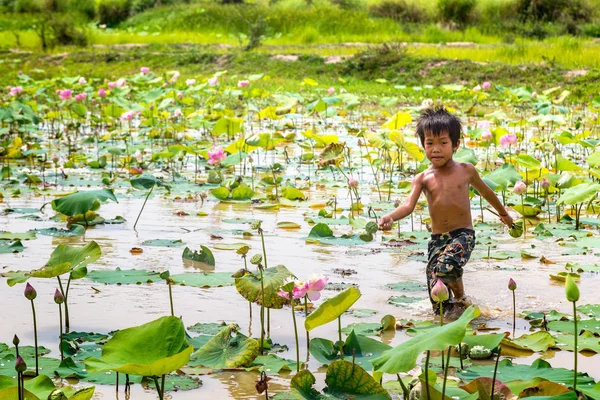 Siem Reap, Kamboçya - 11 Haziran 2018: Lotus Lotus çiftliğinin yakınlarında Siem Reap, Kamboçya'da bir yaz günü sahasının çocuk
