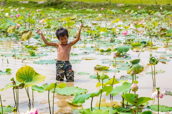 Siem Reap Camboya Junio 2018 Niño Campo Loto Granja Lotus —  Fotos de Stock