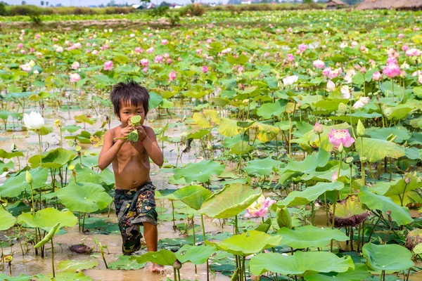 Siem Reap, Kamboçya - 11 Haziran 2018: Lotus Lotus çiftliğinin yakınlarında Siem Reap, Kamboçya'da bir yaz günü sahasının çocuk