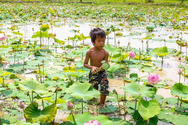 Siem Reap, Kamboçya - 11 Haziran 2018: Lotus Lotus çiftliğinin yakınlarında Siem Reap, Kamboçya'da bir yaz günü sahasının çocuk