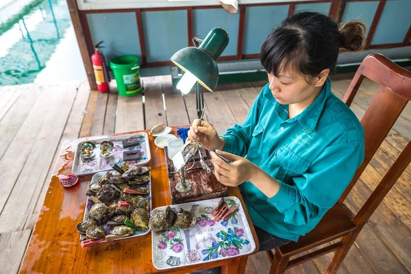 Halong Vietnam Junho 2018 Implantação Pérolas Fazenda Pearl Halong Bay — Fotografia de Stock