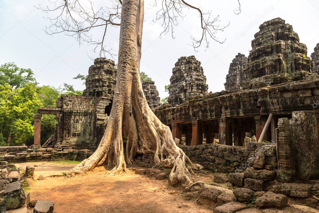 Banyan tree roots in Banteay Kdei temple is Khmer ancient temple in complex Angkor Wat in Siem Reap, Cambodia