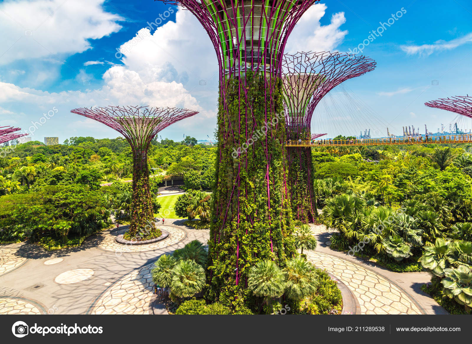 Singapore June 2018 Supertree Grove Gardens Bay Singapore Marina