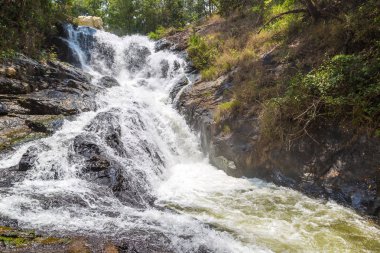 Dalat, bir yaz günü Vietnam'da Datanla şelale