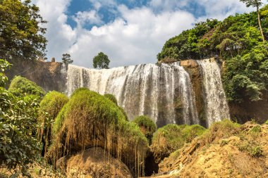 Bir yaz günü Dalat, Vietnam için fil şelale