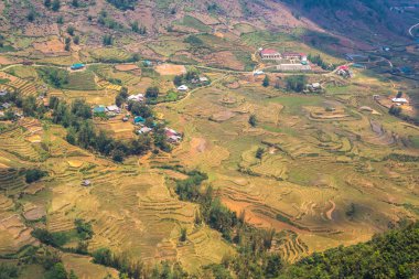 Panoramik Terraced pirinç alan bir yaz günü Sapa, Lao Cai, Vietnam