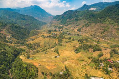 Panoramik Terraced pirinç alan bir yaz günü Sapa, Lao Cai, Vietnam