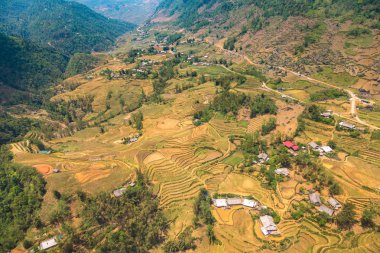 Panoramik Terraced pirinç alan bir yaz günü Sapa, Lao Cai, Vietnam