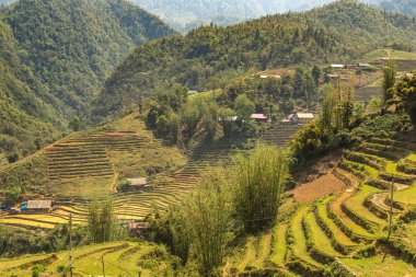 Panoramik Terraced pirinç alan bir yaz günü Sapa, Lao Cai, Vietnam
