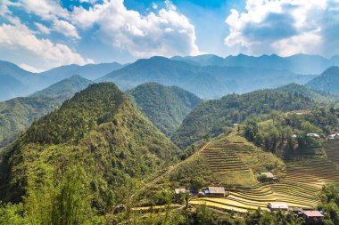 Panoramik Terraced pirinç alan bir yaz günü Sapa, Lao Cai, Vietnam