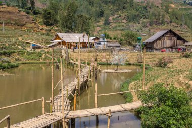 Bir yaz günü kedi köyü yakınlarında Sapa, Lao Cai, Vietnam kedi