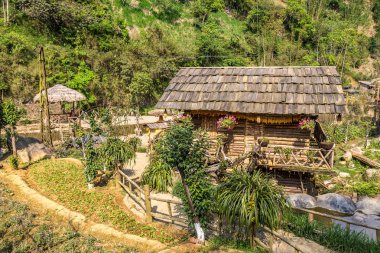 Bir yaz günü kedi köyü yakınlarında Sapa, Lao Cai, Vietnam kedi