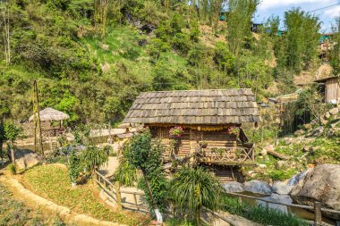 Bir yaz günü kedi köyü yakınlarında Sapa, Lao Cai, Vietnam kedi