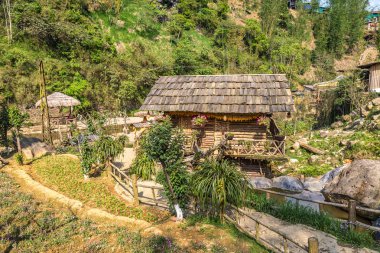 Bir yaz günü kedi köyü yakınlarında Sapa, Lao Cai, Vietnam kedi