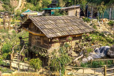 Bir yaz günü kedi köyü yakınlarında Sapa, Lao Cai, Vietnam kedi