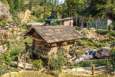 Bir yaz günü kedi köyü yakınlarında Sapa, Lao Cai, Vietnam kedi
