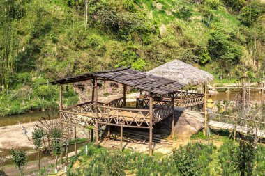 Bir yaz günü kedi köyü yakınlarında Sapa, Lao Cai, Vietnam kedi