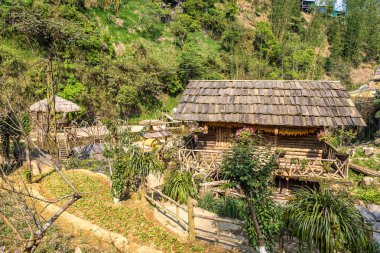 Bir yaz günü kedi köyü yakınlarında Sapa, Lao Cai, Vietnam kedi