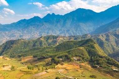 Panoramik Terraced pirinç alan bir yaz günü Sapa, Lao Cai, Vietnam