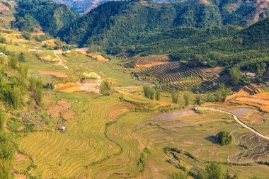 Panoramik Terraced pirinç alan bir yaz günü Sapa, Lao Cai, Vietnam