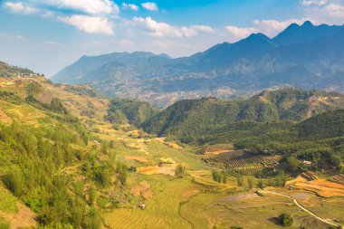 Panoramik Terraced pirinç alan bir yaz günü Sapa, Lao Cai, Vietnam
