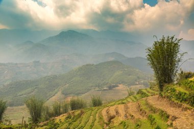 Panoramik Terraced pirinç alan bir yaz günü Sapa, Lao Cai, Vietnam