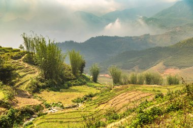 Panoramik Terraced pirinç alan bir yaz günü Sapa, Lao Cai, Vietnam