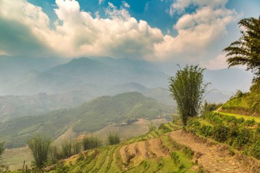 Panoramik Terraced pirinç alan bir yaz günü Sapa, Lao Cai, Vietnam