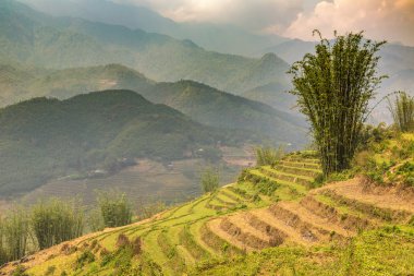 Panoramik Terraced pirinç alan bir yaz günü Sapa, Lao Cai, Vietnam