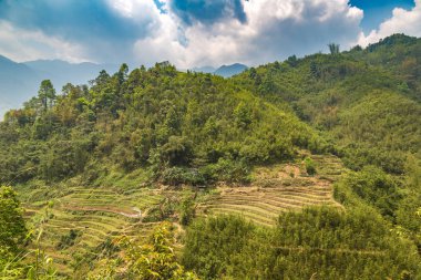 Panoramik Terraced pirinç alan bir yaz günü Sapa, Lao Cai, Vietnam