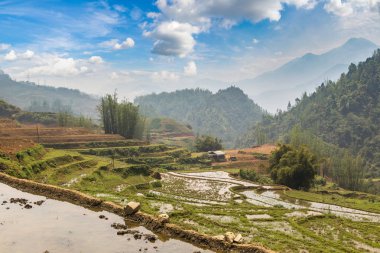 Panoramik Terraced pirinç alan bir yaz günü Sapa, Lao Cai, Vietnam