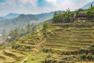 Panoramik Terraced pirinç alan bir yaz günü Sapa, Lao Cai, Vietnam