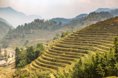 Panoramik Terraced pirinç alan bir yaz günü Sapa, Lao Cai, Vietnam