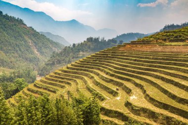 Panoramik Terraced pirinç alan bir yaz günü Sapa, Lao Cai, Vietnam