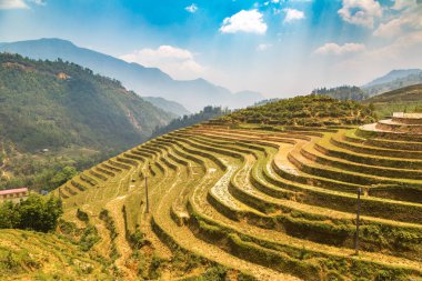 Panoramik Terraced pirinç alan bir yaz günü Sapa, Lao Cai, Vietnam