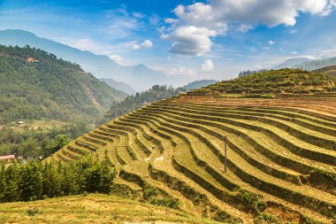 Panoramik Terraced pirinç alan bir yaz günü Sapa, Lao Cai, Vietnam