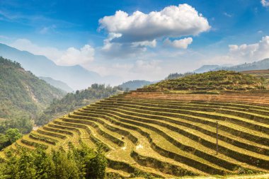 Panoramik Terraced pirinç alan bir yaz günü Sapa, Lao Cai, Vietnam