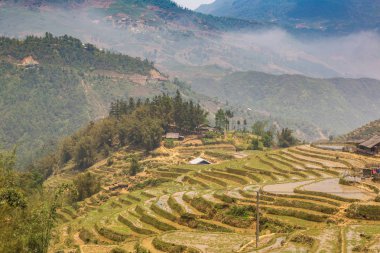 Panoramik Terraced pirinç alan bir yaz günü Sapa, Lao Cai, Vietnam