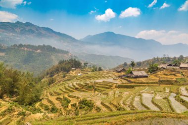 Panoramik Terraced pirinç alan bir yaz günü Sapa, Lao Cai, Vietnam