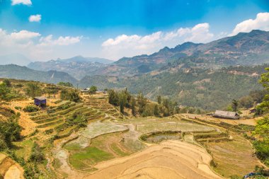 Panoramik Terraced pirinç alan bir yaz günü Sapa, Lao Cai, Vietnam